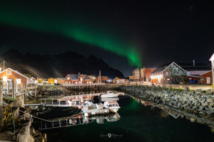 ©+Kamil+Majerczyk+Aurora_12