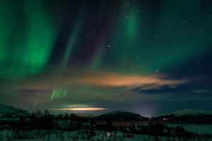 ©+Kamil+Majerczyk+Aurora_14