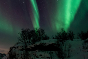 ©+Kamil+Majerczyk+Aurora_3