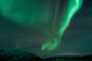 ©+Kamil+Majerczyk+Aurora_6