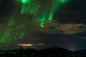 ©+Kamil+Majerczyk+Aurora_9