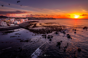 ©+Kamil+Majerczyk+CanaryIsland_30