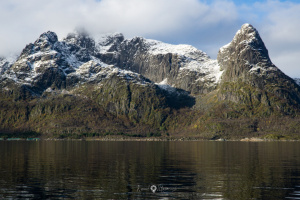 ©+Kamil+Majerczyk+Lofoten