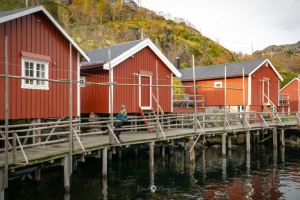 ©+Kamil+Majerczyk+Lofoten_13