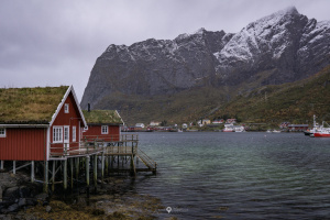 ©+Kamil+Majerczyk+Lofoten_16