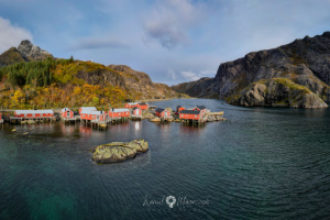 ©+Kamil+Majerczyk+Lofoten_26