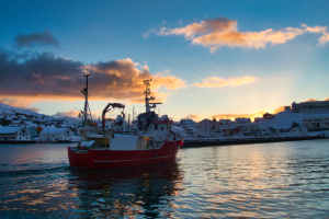 ©+Kamil+Majerczyk+NorthenNorway_21