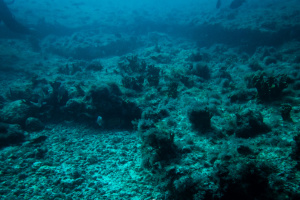 ©+Kamil+Majerczyk+Underwater_17
